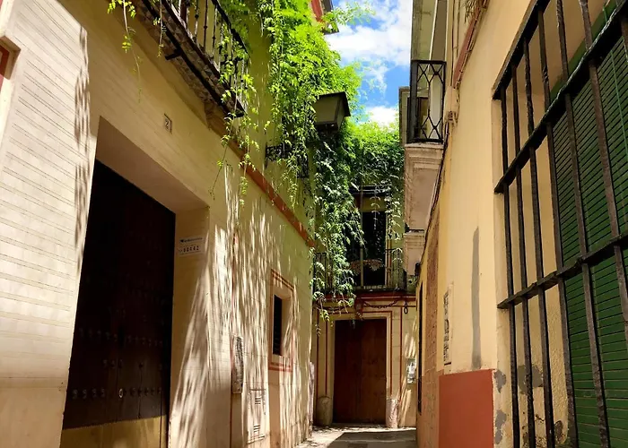 Lejlighed Acogedor 8pax 4bdr 2bth- Cozyhomesevilla2